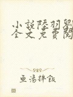 小说陆羽刘云峰全文免费阅读