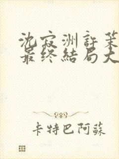 沈寂洲许茉孟姣最终结局大结局