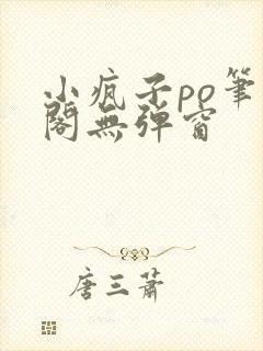 小疯子po笔趣阁无弹窗