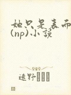 她只是表面清纯(np)小说