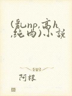 (乱np,高h,纯肉)小说