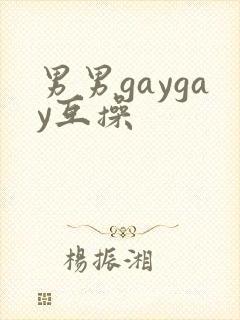 男男gaygay互操