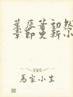 叶辰萧初然最新章节更新小说