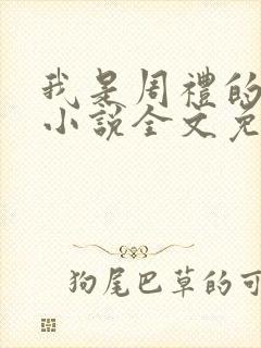 我是周礼的舔狗小说全文免费阅读封面