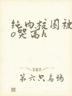 纯肉校园被cao哭高h