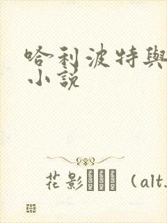 哈利波特与密室小说