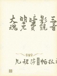 大明暗影三百忠魂免费观看全集在线