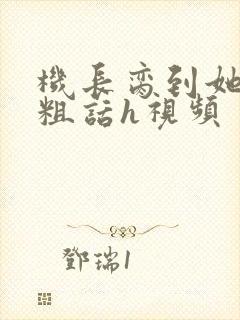 机长脔到她哭h粗话h视频