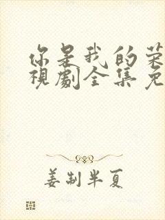 你是我的荣耀电视剧全集免费观看封面