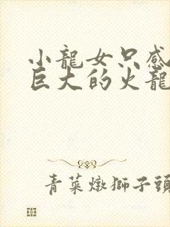 小龙女只感觉那巨大的火龙枪