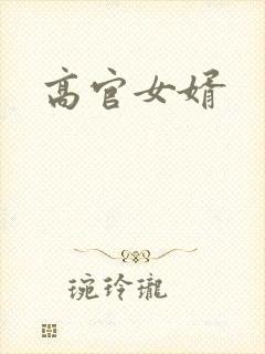 高官女婿封面