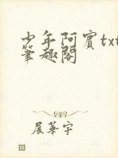 少年阿宾txt笔趣阁