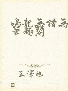鸣龙无错无删减笔趣阁
