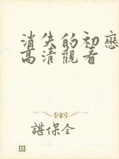 消失的初恋在线高清观看