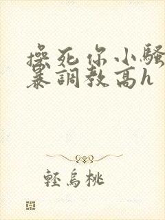 操死你小骚货粗暴调教高h