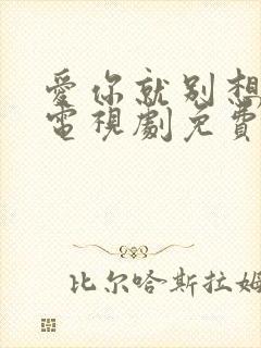 爱你就别想太多电视剧免费观看全集封面