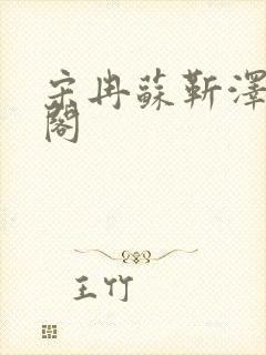 宋冉苏靳泽笔趣阁封面