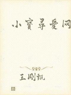 小宝寻爱网封面