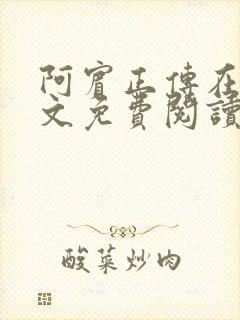 阿宾正传在线全文免费阅读无删减