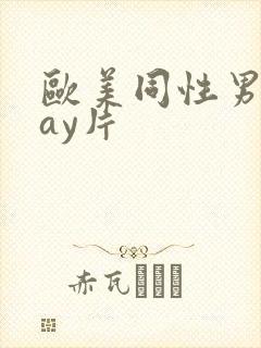 欧美同性男男gay片