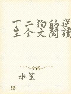 丁二狗的逆袭人生全文阅读封面