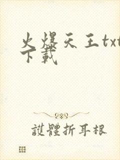 火爆天王txt下载封面