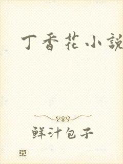 丁香花小说
