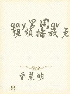 gay男同gv视频播放免费