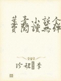 叶青小说全文免费阅读无弹窗