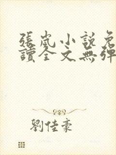 张岚小说免费阅读全文无弹窗