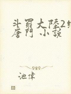 斗罗大陆2绝世唐门 小说