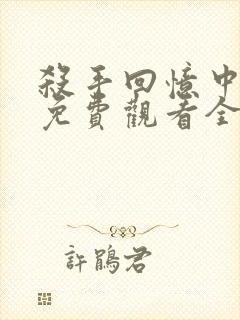 杀手回忆中文版免费观看全集