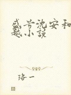 盛兮沈安和的穿越小说