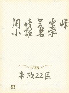 周晴吴云峰李磊小说名字