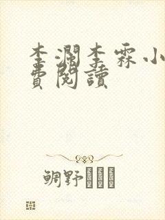 李澜李霖小说免费阅读