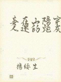 妾在山阳穿成万人迷的炮灰竹马