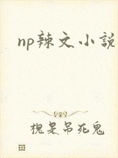 np辣文小说