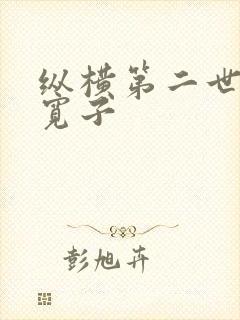 纵横第二世界 宽子