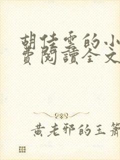 胡佳云的小说免费阅读全文无弹窗