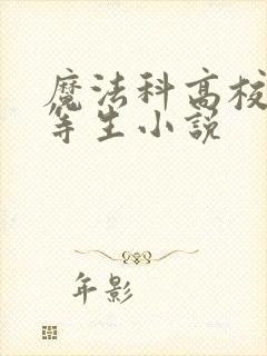 魔法科高校的劣等生小说封面