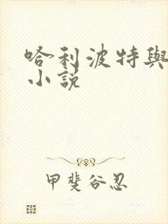 哈利波特与密室小说