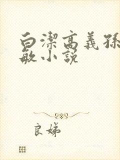 白洁高义孙倩张敏小说