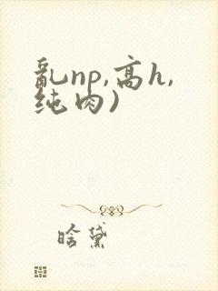 乱np,高h,纯肉)
