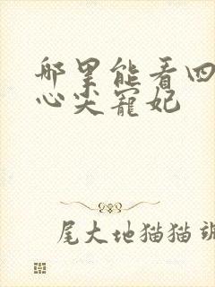 哪里能看四爷的心尖宠妃