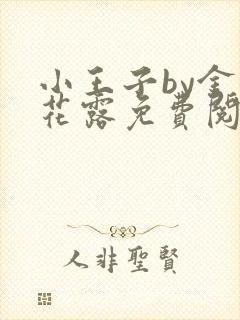 小王子by金银花露免费阅读笔趣阁封面