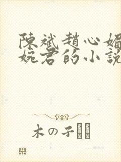 陈斌赵心媚和高婉君的小说