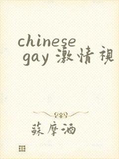 chinese gay 激情视频