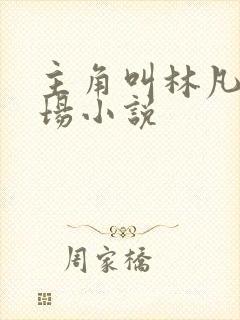 主角叫林凡的官场小说封面