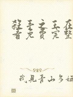 杀手之王在线观看免费完整版