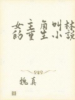 女主角叫林清婉的重生小说封面